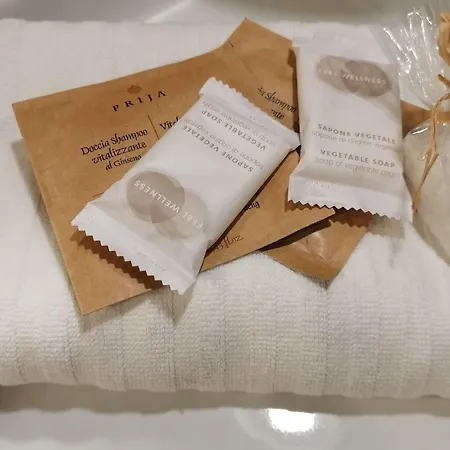 黎莱斯卡斯特隆波齐亚酒店 4* 博恰